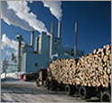 Wood Products Wood Products